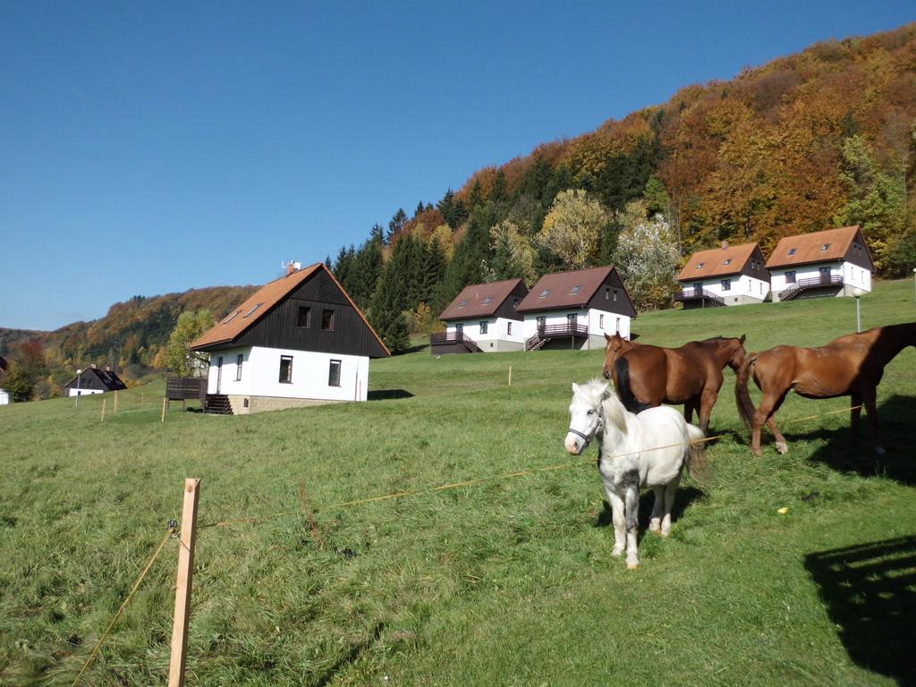 Green Valley Park Stárkov Exterior foto