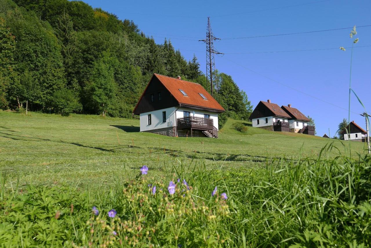 Green Valley Park Stárkov Exterior foto