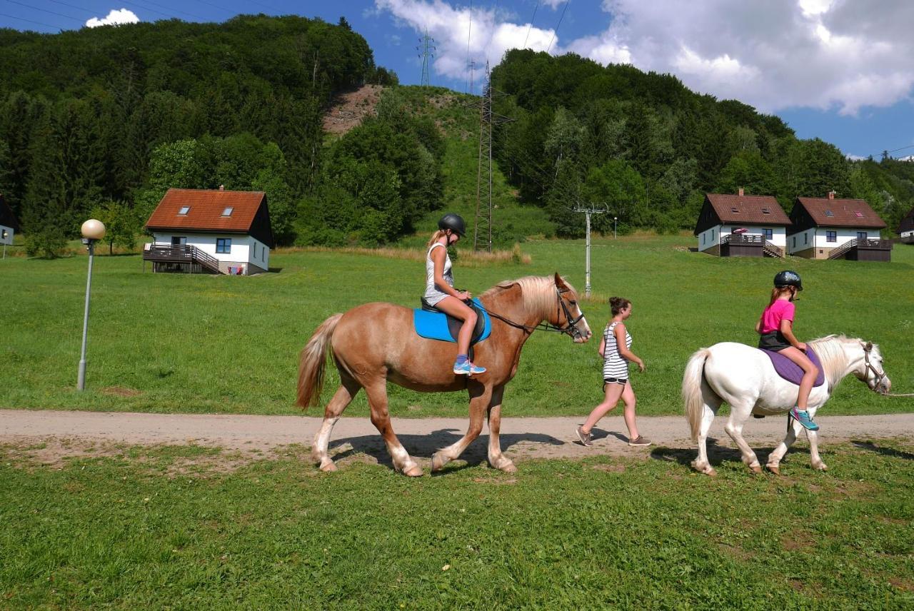 Green Valley Park Stárkov Exterior foto